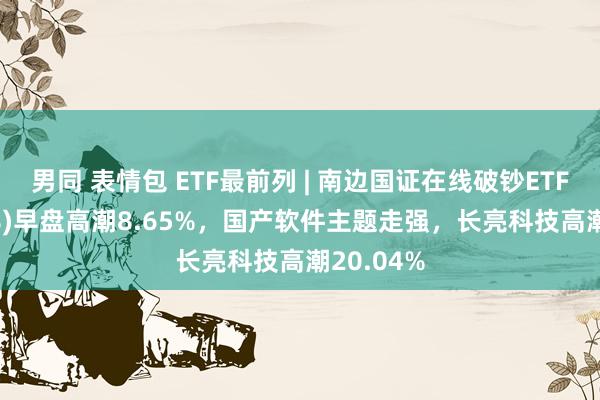 男同 表情包 ETF最前列 | 南边国证在线破钞ETF(159728)早盘高潮8.65%，国产软件主题走强，长亮科技高潮20.04%