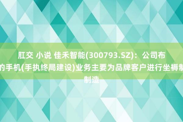 肛交 小说 佳禾智能(300793.SZ)：公司布局的手机(手执终局建设)业务主要为品牌客户进行坐褥制造