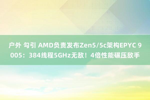 户外 勾引 AMD负责发布Zen5/5c架构EPYC 9005：384线程5GHz无敌！4倍性能碾压敌手