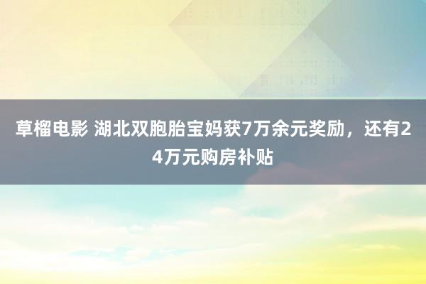 草榴电影 湖北双胞胎宝妈获7万余元奖励，还有24万元购房补贴