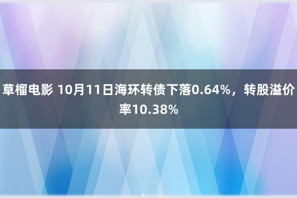 草榴电影 10月11日海环转债下落0.64%，转股溢价率10.38%