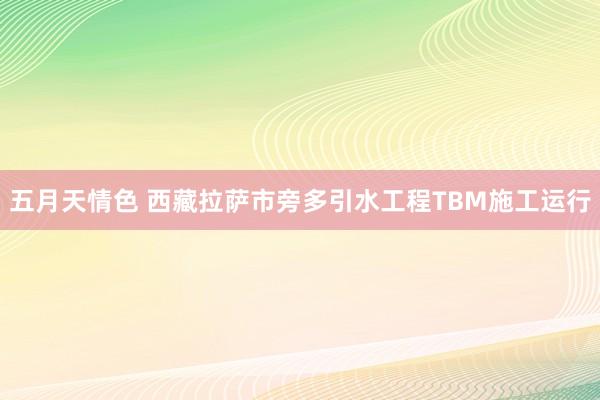 五月天情色 西藏拉萨市旁多引水工程TBM施工运行