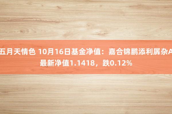 五月天情色 10月16日基金净值：嘉合锦鹏添利羼杂A最新净值1.1418，跌0.12%