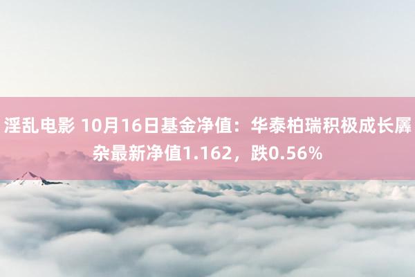 淫乱电影 10月16日基金净值：华泰柏瑞积极成长羼杂最新净值1.162，跌0.56%