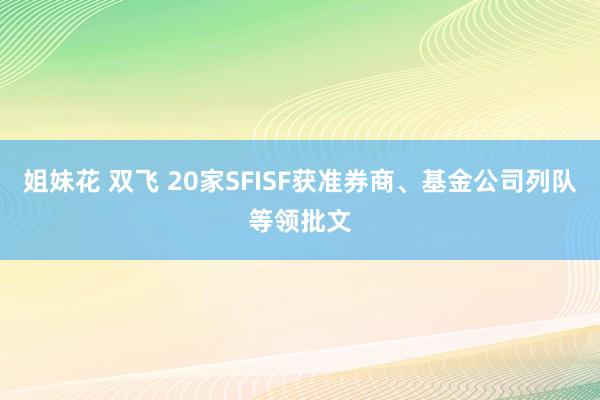 姐妹花 双飞 20家SFISF获准券商、基金公司列队等领批文