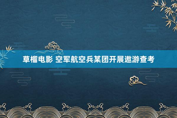 草榴电影 空军航空兵某团开展遨游查考