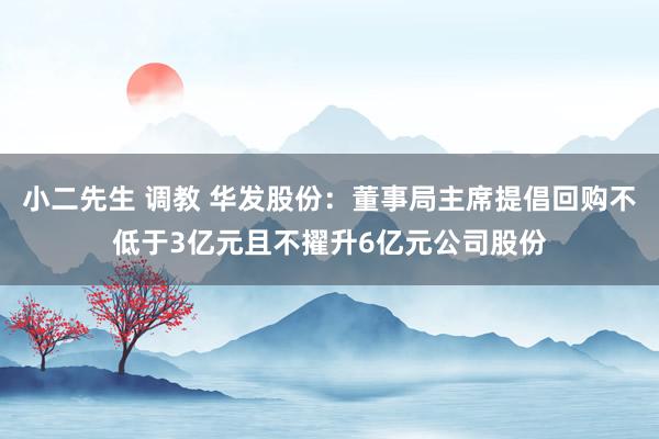 小二先生 调教 华发股份：董事局主席提倡回购不低于3亿元且不擢升6亿元公司股份