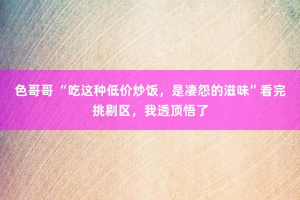 色哥哥 “吃这种低价炒饭，是凄怨的滋味”看完挑剔区，我透顶悟了