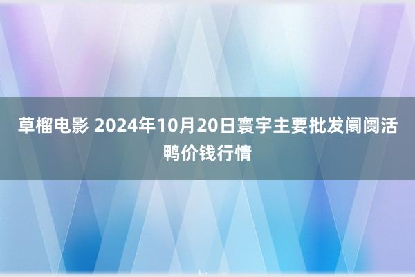 草榴电影 2024年10月20日寰宇主要批发阛阓活鸭价钱行情