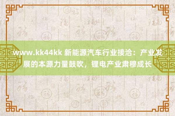 www.kk44kk 新能源汽车行业接洽：产业发展的本源力量鼓吹，锂电产业肃穆成长