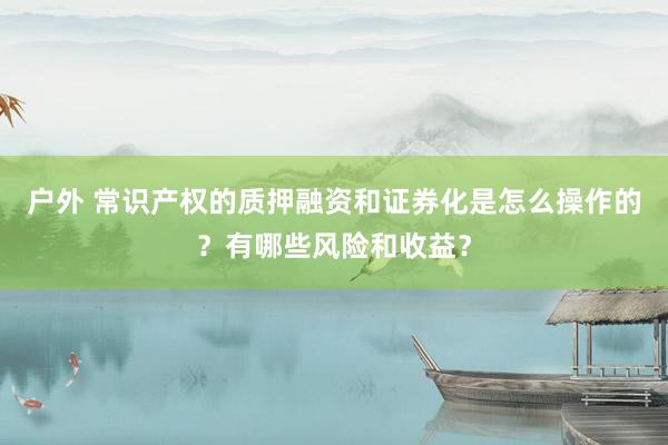 户外 常识产权的质押融资和证券化是怎么操作的？有哪些风险和收益？