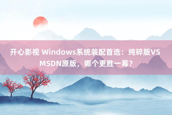 开心影视 Windows系统装配首选：纯碎版VS MSDN原版，哪个更胜一筹？