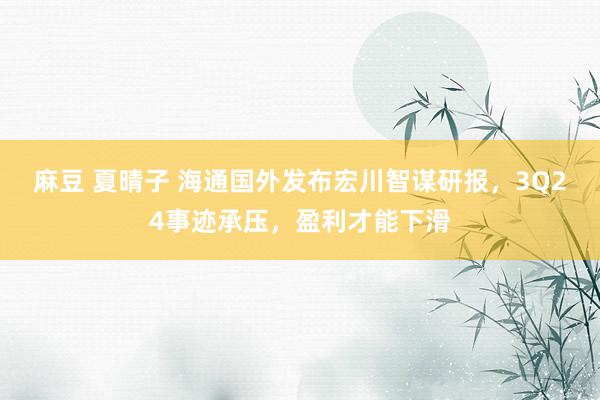 麻豆 夏晴子 海通国外发布宏川智谋研报，3Q24事迹承压，盈利才能下滑