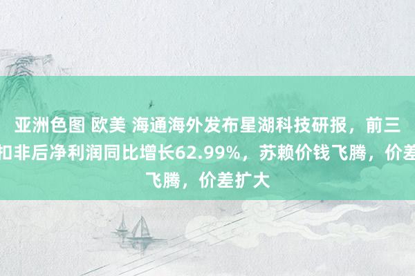 亚洲色图 欧美 海通海外发布星湖科技研报，前三季度扣非后净利润同比增长62.99%，苏赖价钱飞腾，价差扩大