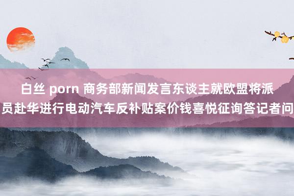 白丝 porn 商务部新闻发言东谈主就欧盟将派员赴华进行电动汽车反补贴案价钱喜悦征询答记者问