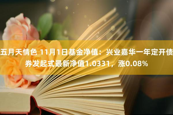 五月天情色 11月1日基金净值：兴业嘉华一年定开债券发起式最新净值1.0331，涨0.08%