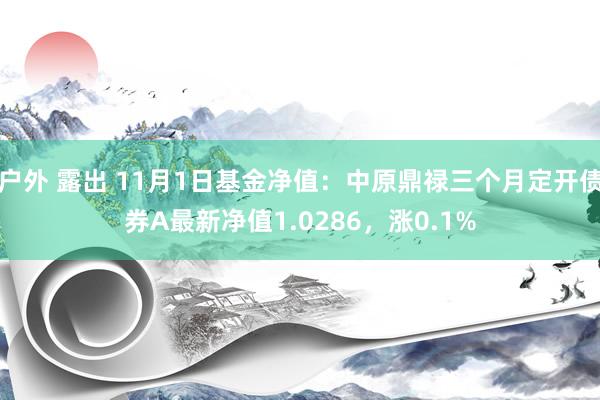 户外 露出 11月1日基金净值：中原鼎禄三个月定开债券A最新净值1.0286，涨0.1%