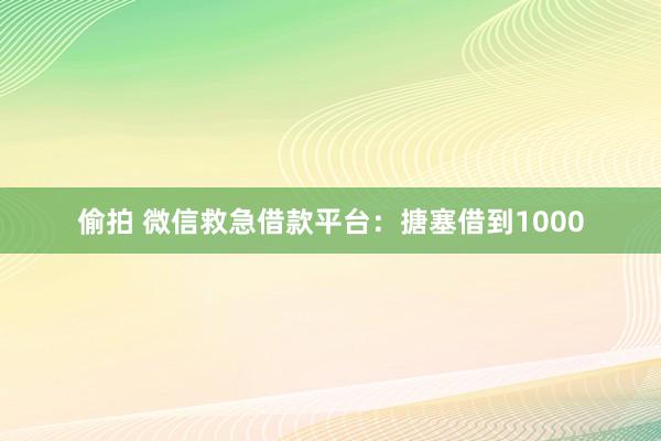 偷拍 微信救急借款平台：搪塞借到1000