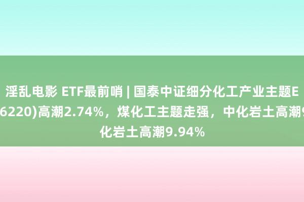 淫乱电影 ETF最前哨 | 国泰中证细分化工产业主题ETF(516220)高潮2.74%，煤化工主题走强，中化岩土高潮9.94%