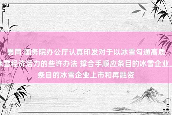 男同 国务院办公厅认真印发对于以冰雪勾通高质料发展引发冰雪经济活力的些许办法 撑合手顺应条目的冰雪企业上市和再融资