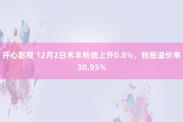 开心影视 12月2日禾丰转债上升0.8%，转股溢价率30.95%