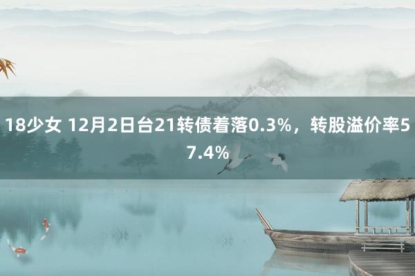 18少女 12月2日台21转债着落0.3%，转股溢价率57.4%