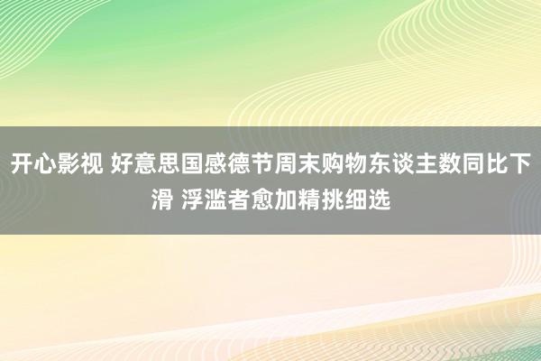 开心影视 好意思国感德节周末购物东谈主数同比下滑 浮滥者愈加精挑细选