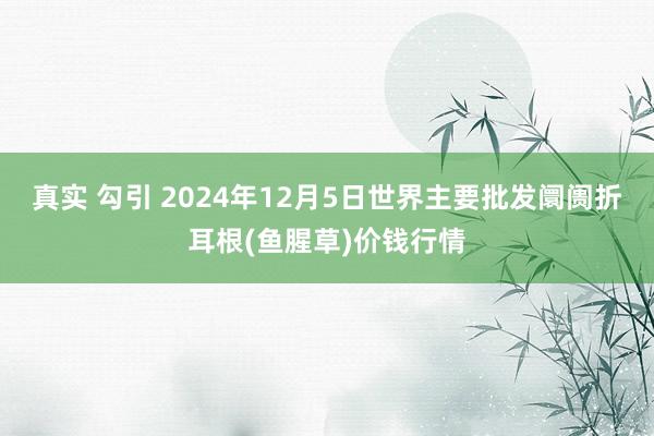 真实 勾引 2024年12月5日世界主要批发阛阓折耳根(鱼腥草)价钱行情