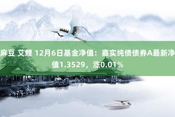 麻豆 艾鲤 12月6日基金净值：嘉实纯债债券A最新净值1.3529，涨0.01%