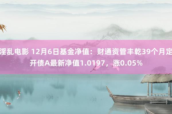 淫乱电影 12月6日基金净值：财通资管丰乾39个月定开债A最新净值1.0197，涨0.05%