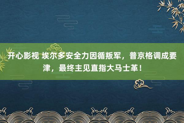 开心影视 埃尔多安全力因循叛军，普京格调成要津，最终主见直指大马士革！