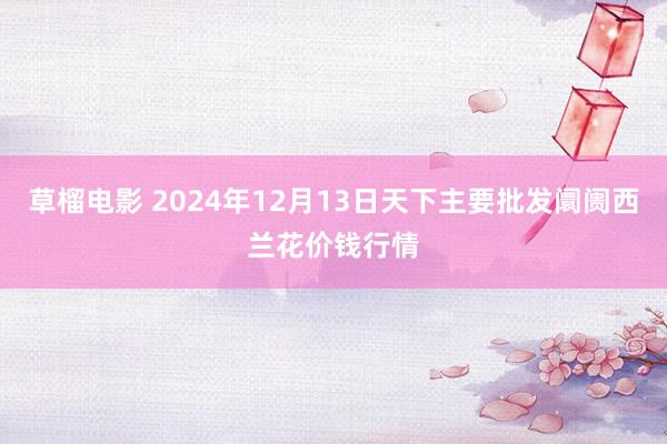 草榴电影 2024年12月13日天下主要批发阛阓西兰花价钱行情