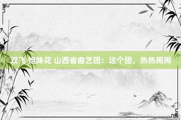 双飞 姐妹花 山西省曲艺团：这个团，热热闹闹