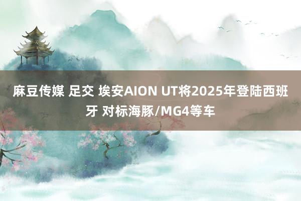 麻豆传媒 足交 埃安AION UT将2025年登陆西班牙 对标海豚/MG4等车