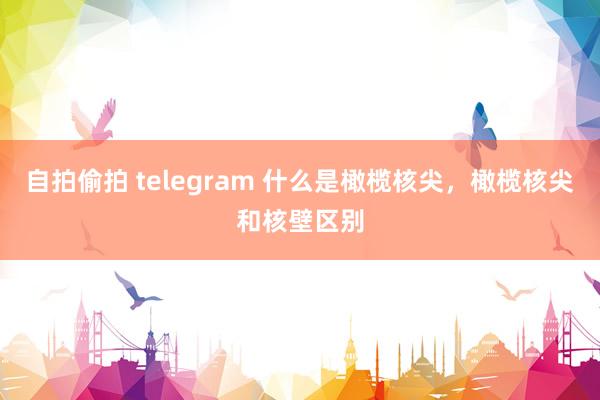 自拍偷拍 telegram 什么是橄榄核尖，橄榄核尖和核壁区别