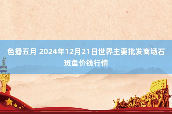 色播五月 2024年12月21日世界主要批发商场石斑鱼价钱行情