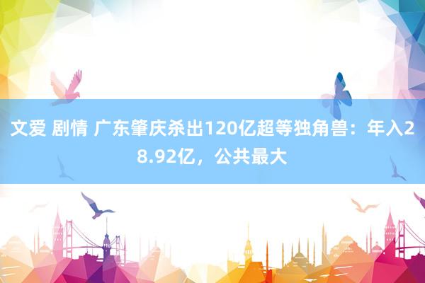 文爱 剧情 广东肇庆杀出120亿超等独角兽：年入28.92亿，公共最大