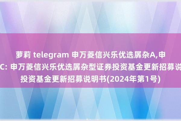 萝莉 telegram 申万菱信兴乐优选羼杂A，申万菱信兴乐优选羼杂C: 申万菱信兴乐优选羼杂型证券投资基金更新招募说明书(2024年第1号)