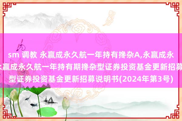 sm 调教 永赢成永久航一年持有搀杂A，永赢成永久航一年持有搀杂C: 永赢成永久航一年持有期搀杂型证券投资基金更新招募说明书(2024年第3号)