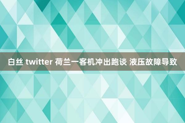 白丝 twitter 荷兰一客机冲出跑谈 液压故障导致