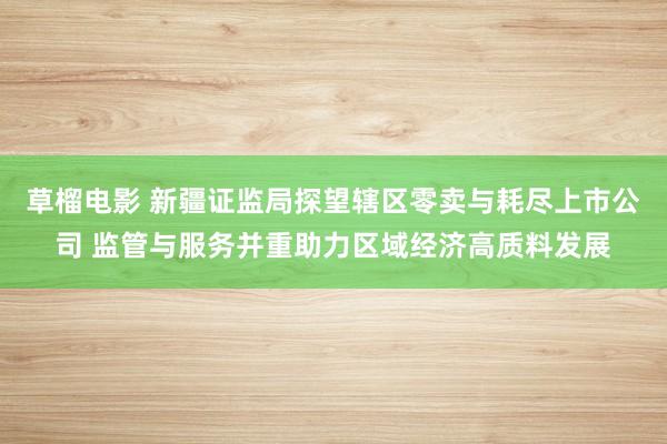 草榴电影 新疆证监局探望辖区零卖与耗尽上市公司 监管与服务并重助力区域经济高质料发展