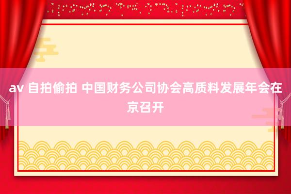 av 自拍偷拍 中国财务公司协会高质料发展年会在京召开