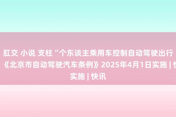 肛交 小说 支柱“个东谈主乘用车控制自动驾驶出行”，《北京市自动驾驶汽车条例》2025年4月1日实施 | 快讯