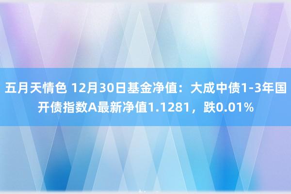 五月天情色 12月30日基金净值：大成中债1-3年国开债指数A最新净值1.1281，跌0.01%