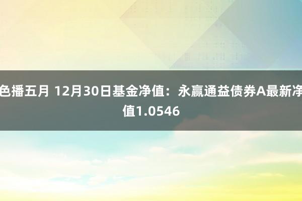 色播五月 12月30日基金净值：永赢通益债券A最新净值1.0546