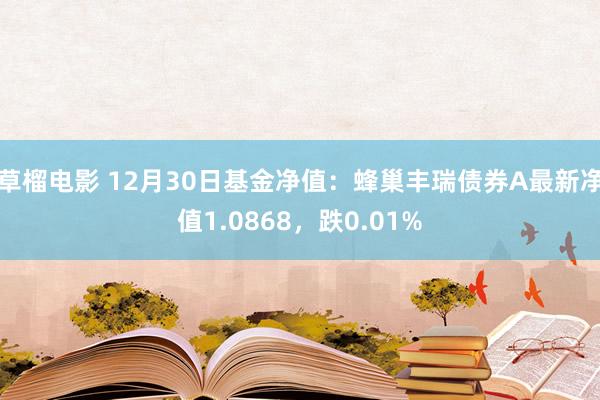 草榴电影 12月30日基金净值：蜂巢丰瑞债券A最新净值1.0868，跌0.01%