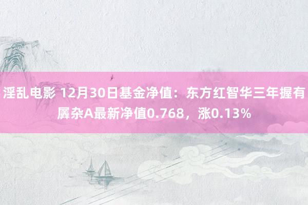 淫乱电影 12月30日基金净值：东方红智华三年握有羼杂A最新净值0.768，涨0.13%