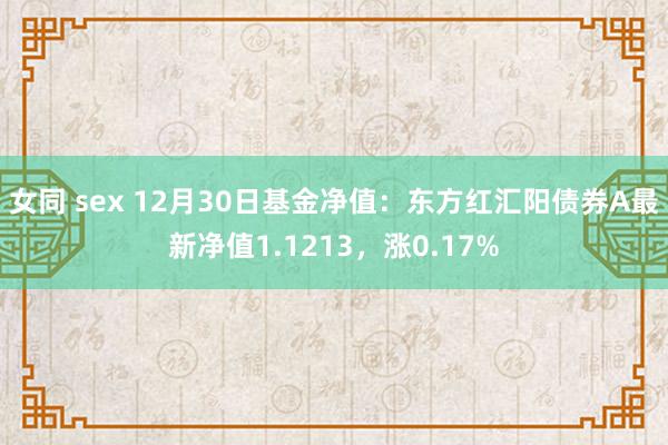 女同 sex 12月30日基金净值：东方红汇阳债券A最新净值1.1213，涨0.17%