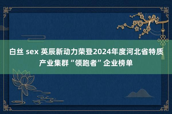 白丝 sex 英辰新动力荣登2024年度河北省特质产业集群“领跑者”企业榜单