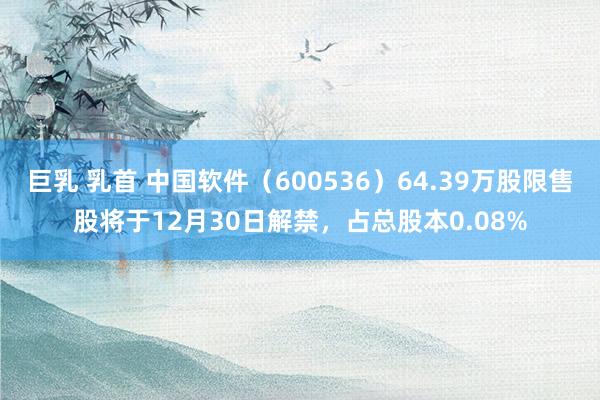 巨乳 乳首 中国软件（600536）64.39万股限售股将于12月30日解禁，占总股本0.08%